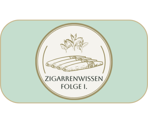 KULTUR // Zigarrenwissen Folge 1: Feuchtzigarren und das Psychrometer