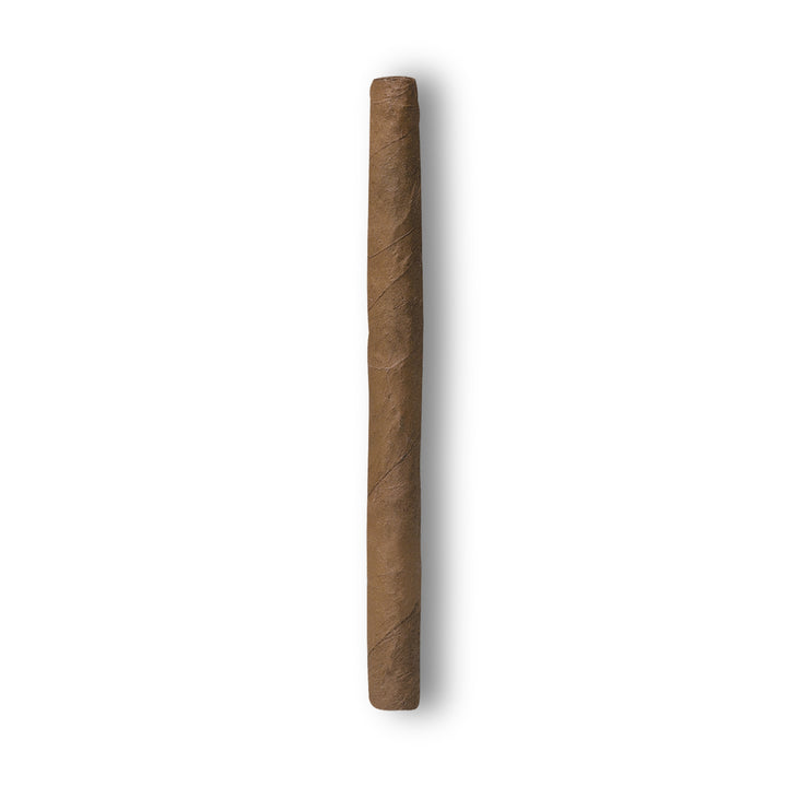 'Mini Cigarillos' Escurio