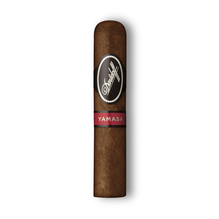 'Yamasa' Petit Churchill